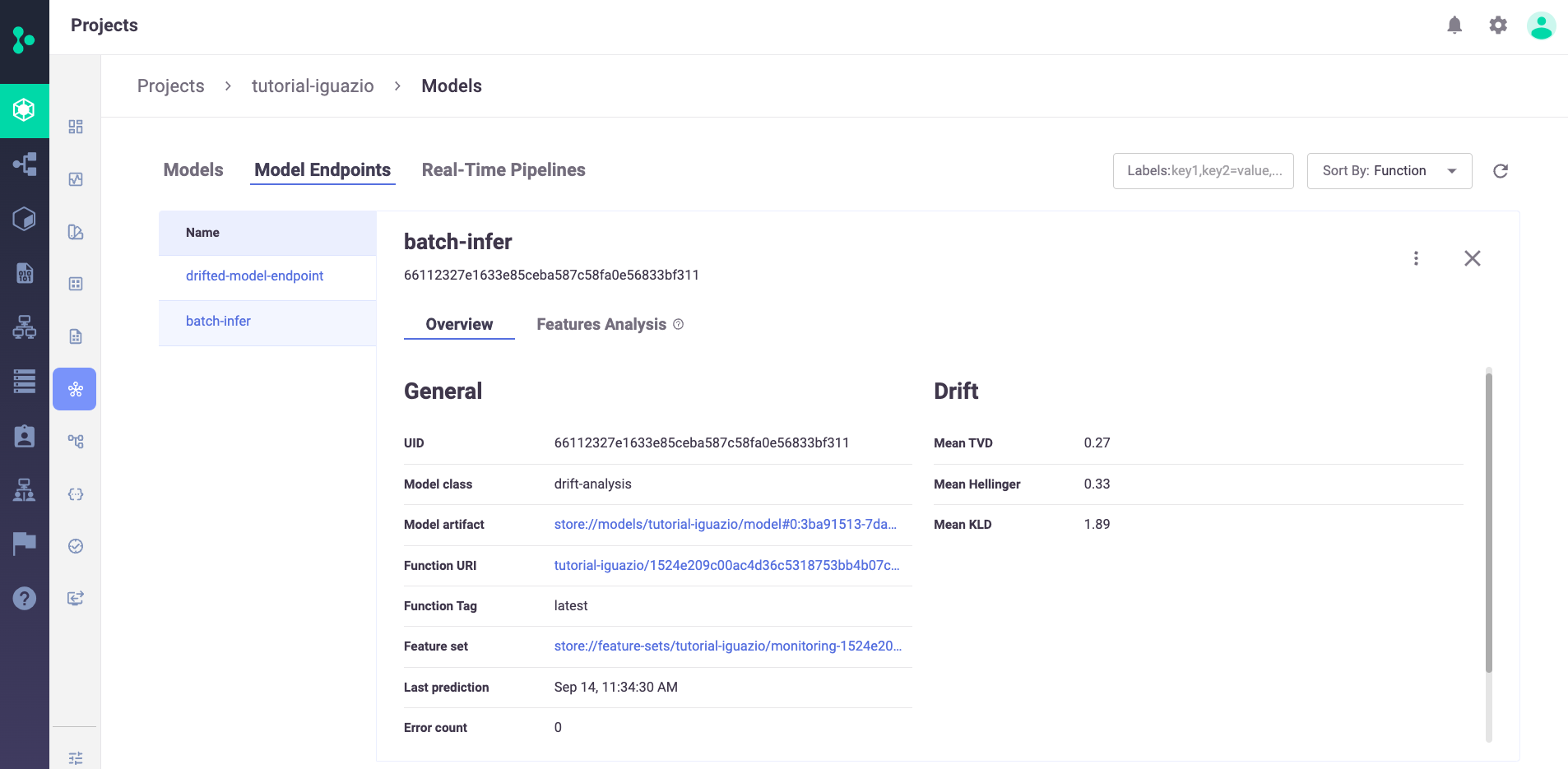 Model Endpoint Overview